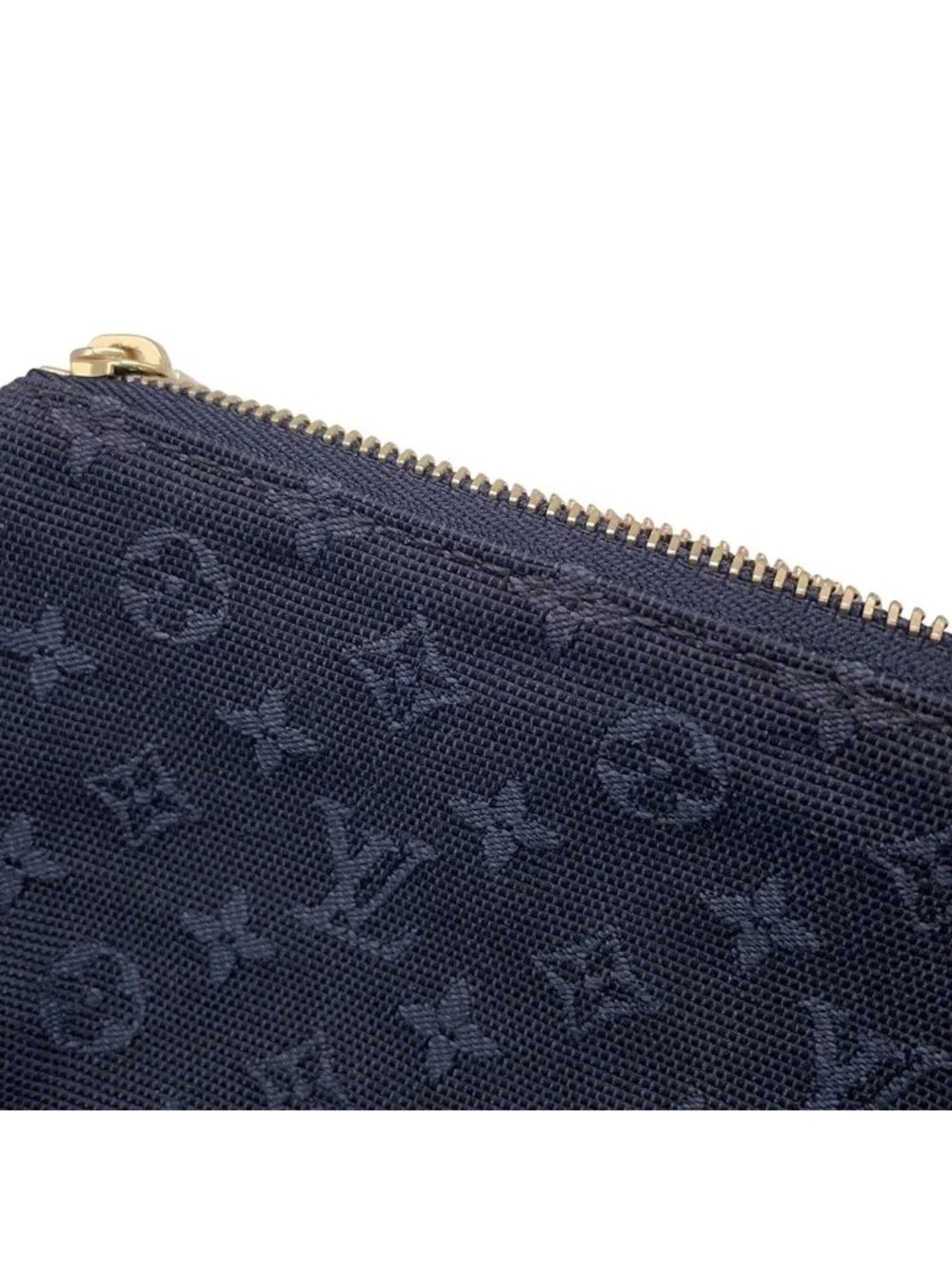 Louis Vuitton Pouch Monogram Mini Anthophy M Case